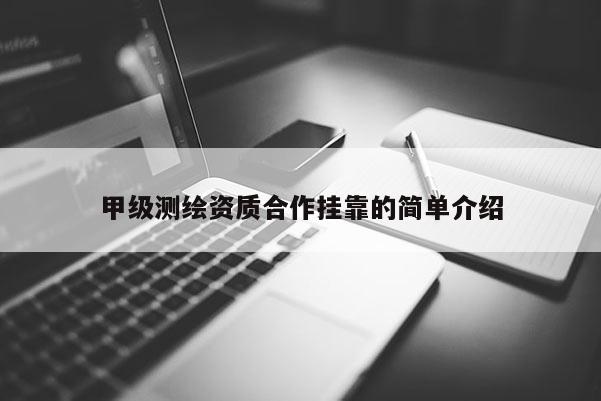 甲級測繪資質合作掛靠的簡單介紹