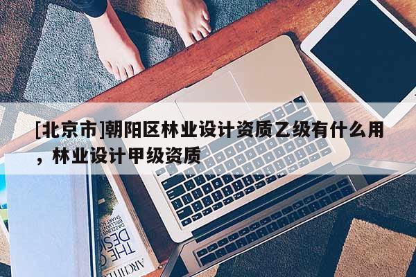 [北京市]朝陽(yáng)區(qū)林業(yè)設(shè)計(jì)資質(zhì)乙級(jí)有什么用，林業(yè)設(shè)計(jì)甲級(jí)資質(zhì)